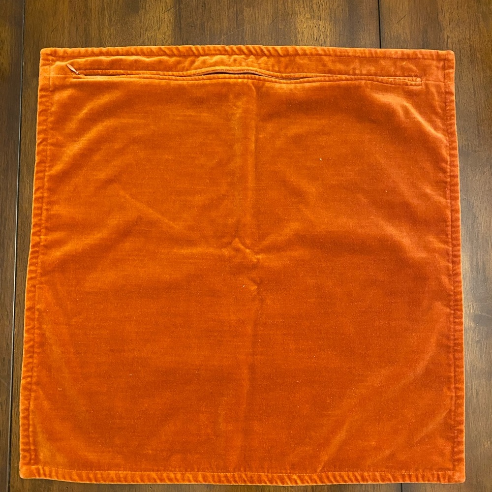 Pottery Barn Washed Velvet Pillow Cover